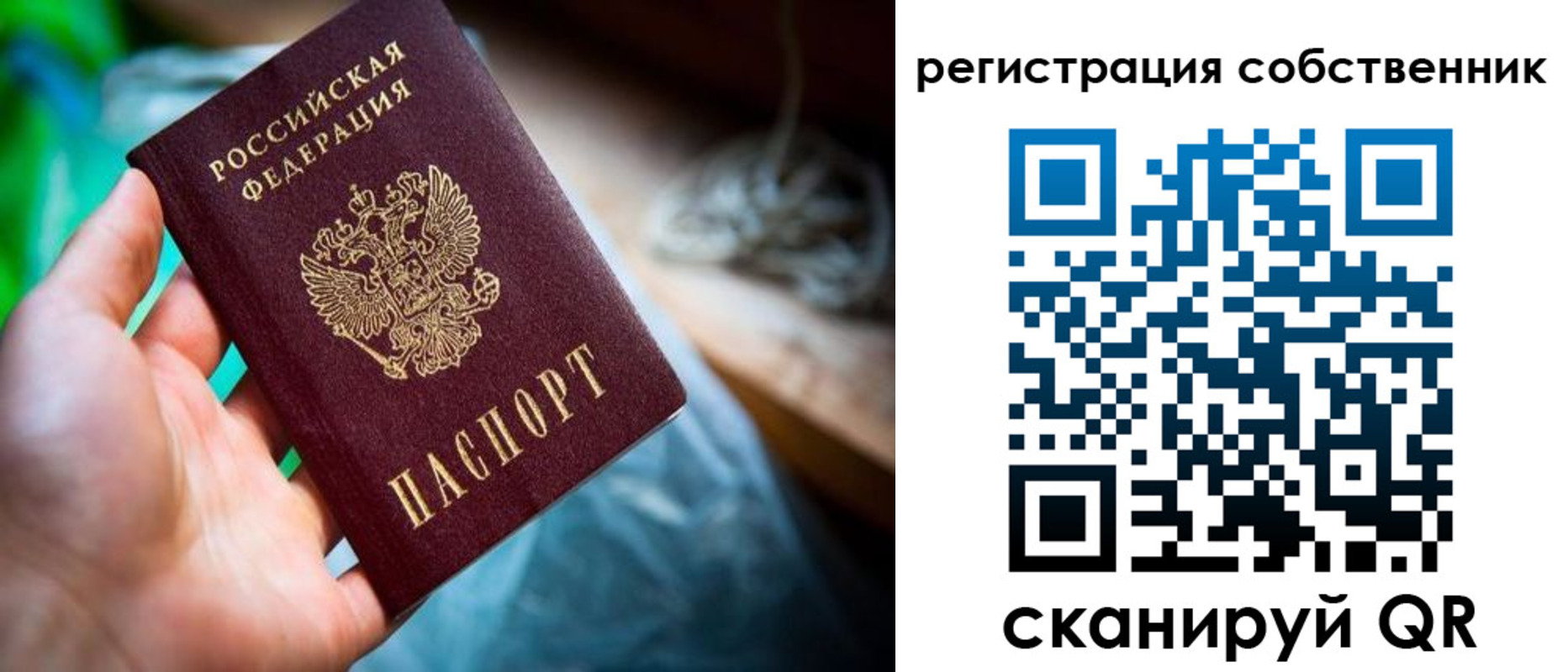прописка гарантия в Калмыкии